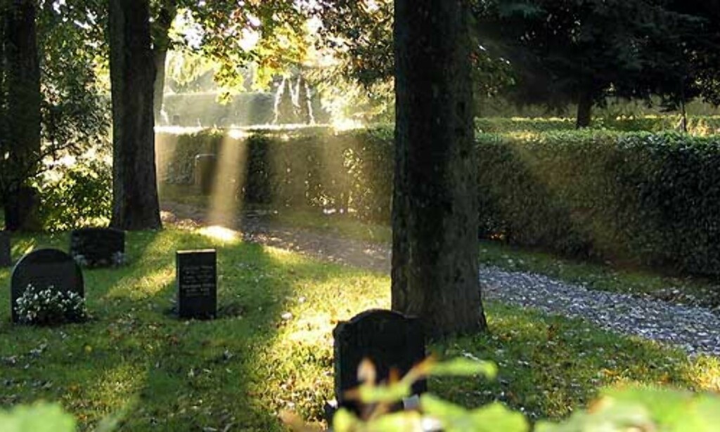 image: Griller, jogger og råsykler på gravlundene image: Griller, jogger og råsykler på gravlundene