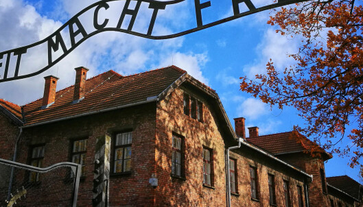 Google fjerner informasjon fra holocaust-fornektere Google fjerner informasjon fra holocaust-fornektere