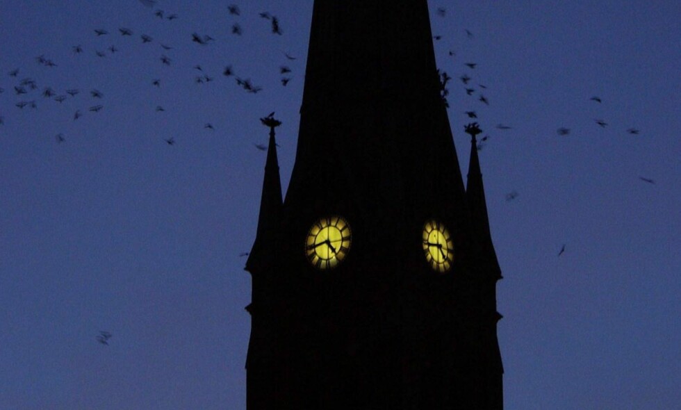 TAKK FOR FØLGET: 1. januar 2017, i morgen, er det klart for en nødvendig skillsmisse mellom stat og kirke. Men, blir det noe mer enn bare ord? TAKK FOR FØLGET: 1. januar 2017, i morgen, er det klart for en nødvendig skillsmisse mellom stat og kirke. Men, blir det noe mer enn bare ord?