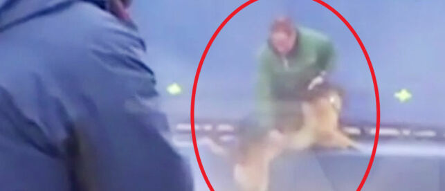 image: Slår tilbake etter hundeskandale:- Videoen forteller ikke hele historien