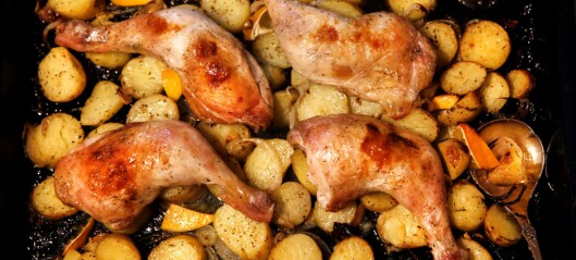 Vil du ha god smak på kyllingen, er det ett triks som gjelder Vil du ha god smak på kyllingen, er det ett triks som gjelder