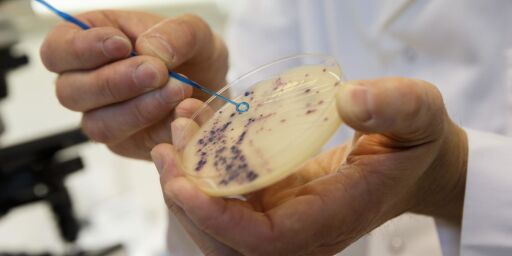 image: Bruk av antibiotika må begrenses