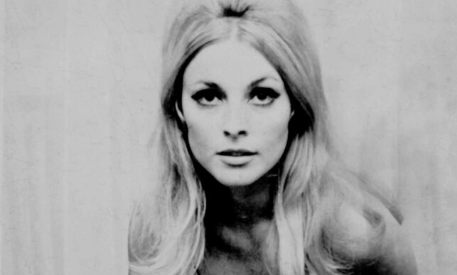 VAKKER: Sharon Tate ble godt kjent for sitt utseende på 1960-tallet. Hun spilte i flere filmer, reklamer og tv-serier, og var en av Hollywoods største kjendiser da hun levde. Foto: NTB scanpix VAKKER: Sharon Tate ble godt kjent for sitt utseende på 1960-tallet. Hun spilte i flere filmer, reklamer og tv-serier, og var en av Hollywoods største kjendiser da hun levde. Foto: NTB scanpix