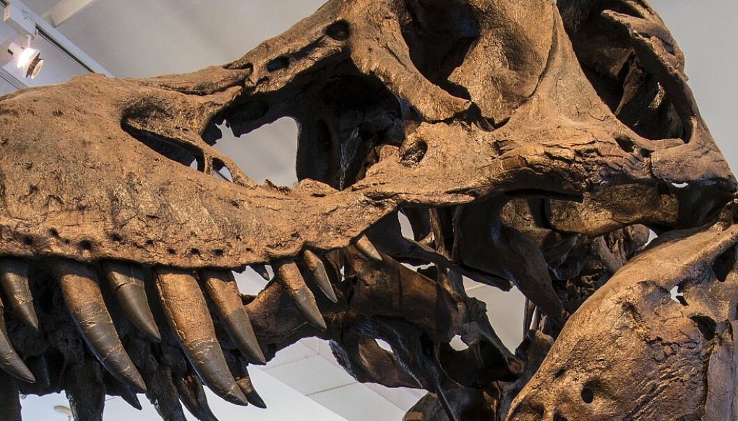 Dramatikk på Geologisk museum. Interiør fratas fredning: - Kan ikke være riktig Dramatikk på Geologisk museum. Interiør fratas fredning: - Kan ikke være riktig