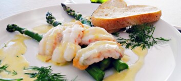 Scampi - vår norske sjøkreps Scampi - vår norske sjøkreps