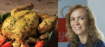 E.coli-faren avblåst: - Men pass på «siste forbruksdag» E.coli-faren avblåst: - Men pass på «siste forbruksdag»