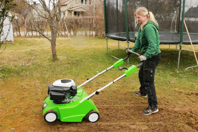 LAR GRESSET STÅ: Plenlufteren fjerner mosen, men lar gresset stå. Du bør eventuelt så nytt gress. Foto: Berit B. Njarga LAR GRESSET STÅ: Plenlufteren fjerner mosen, men lar gresset stå. Du bør eventuelt så nytt gress. Foto: Berit B. Njarga