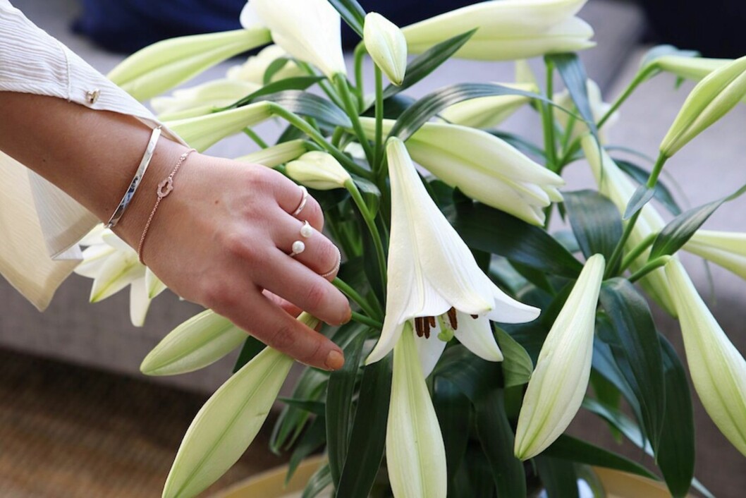 NATHALIE HELGERUD: Her viser hun deg hvordan hun mikser ringer og armbånd sammen. Foto: Nathaliehelgerud.com NATHALIE HELGERUD: Her viser hun deg hvordan hun mikser ringer og armbånd sammen. Foto: Nathaliehelgerud.com