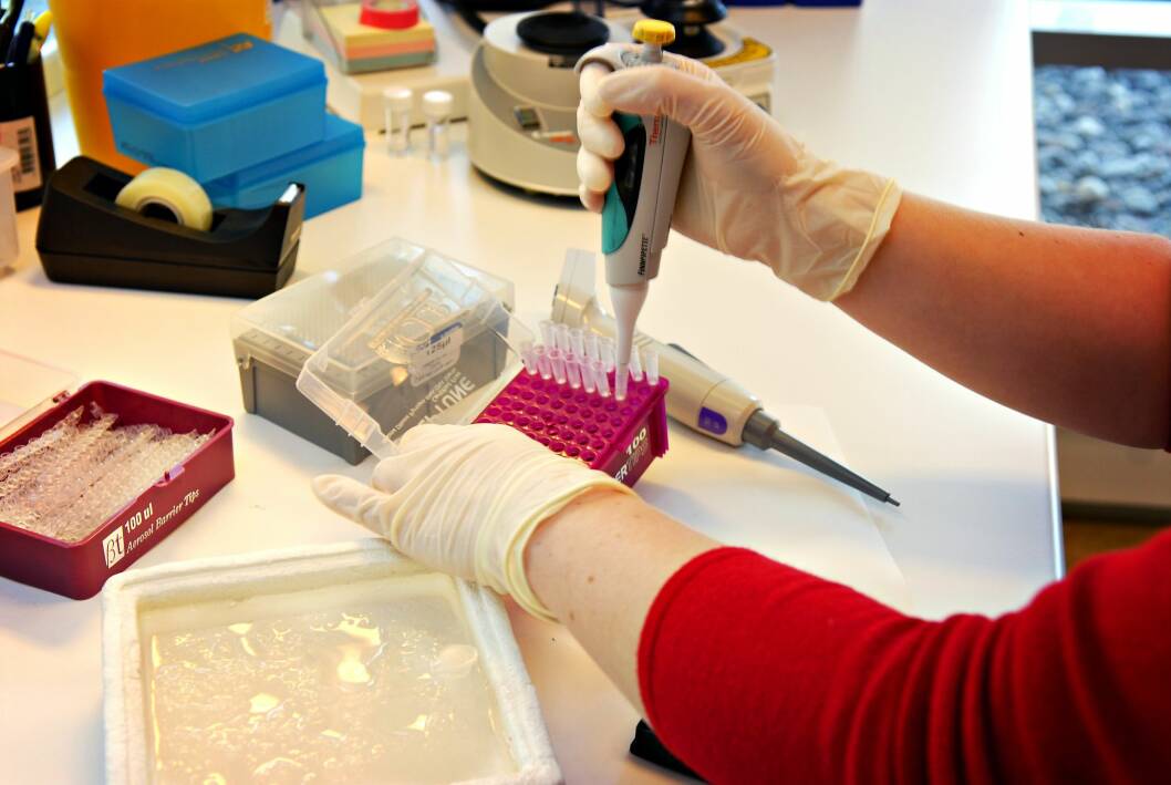 GENTESTING: Du kan få utført en gentest dersom du vil ha svar på om du er disponert for arvelige sykdommer. Foto: Aftenposten GENTESTING: Du kan få utført en gentest dersom du vil ha svar på om du er disponert for arvelige sykdommer. Foto: Aftenposten