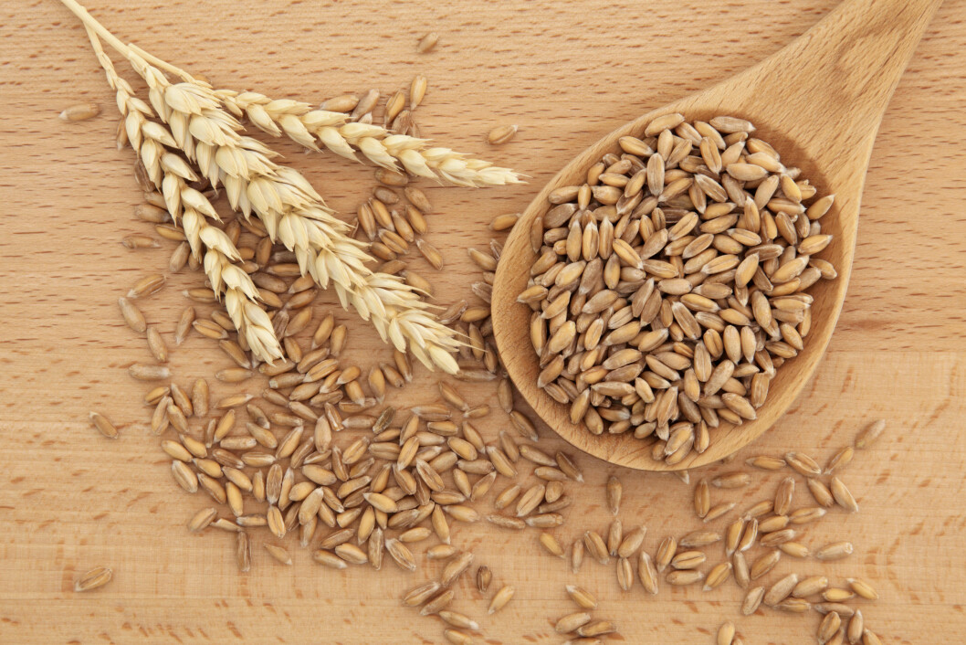 GROVT KORN: Fiber, særlig i form av grove kornprodukter, viser seg å være forebyggende for kreft i tykk- og endetarm. Foto: marilyn barbone - Fotolia GROVT KORN: Fiber, særlig i form av grove kornprodukter, viser seg å være forebyggende for kreft i tykk- og endetarm. Foto: marilyn barbone - Fotolia