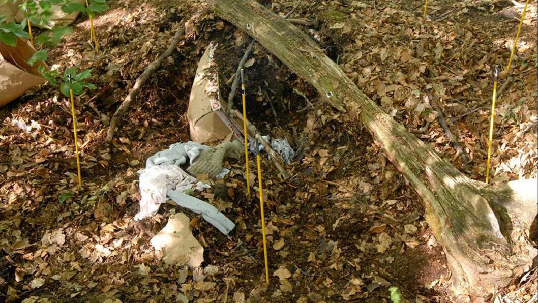 LEVENDE BEGRAVET: Her ser du restene av pappesken som Michelina var plassert i og stedet der hun ble begravd. Foto: NTB Scanpix LEVENDE BEGRAVET: Her ser du restene av pappesken som Michelina var plassert i og stedet der hun ble begravd. Foto: NTB Scanpix