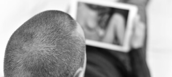 - Alle forstår at hevnporno er latterlig, og at du ikke TULLER med pedofili - Alle forstår at hevnporno er latterlig, og at du ikke TULLER med pedofili