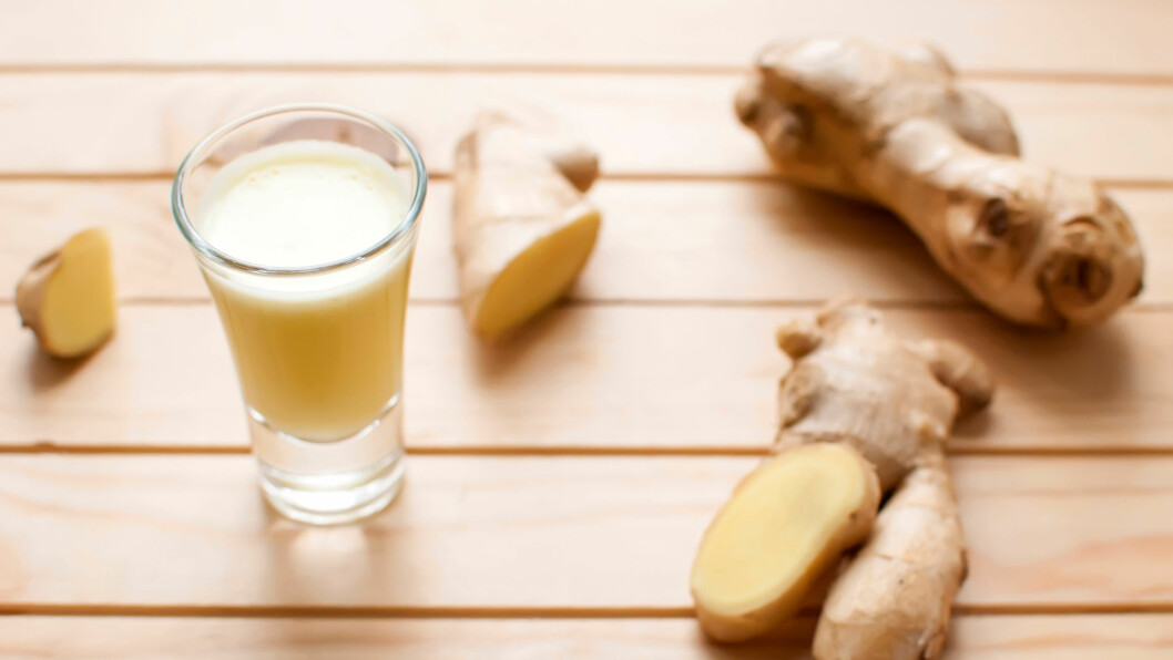 IKKE VÆR REDD FOR iNGEFÆR: Ingefær er naturlig antibiotisk, antihistaminrik og rik på antioksidanter. Perfekt å både te, smoothie og næringsshot. Foto: Shutterstock / Little_Desire IKKE VÆR REDD FOR iNGEFÆR: Ingefær er naturlig antibiotisk, antihistaminrik og rik på antioksidanter. Perfekt å både te, smoothie og næringsshot. Foto: Shutterstock / Little_Desire