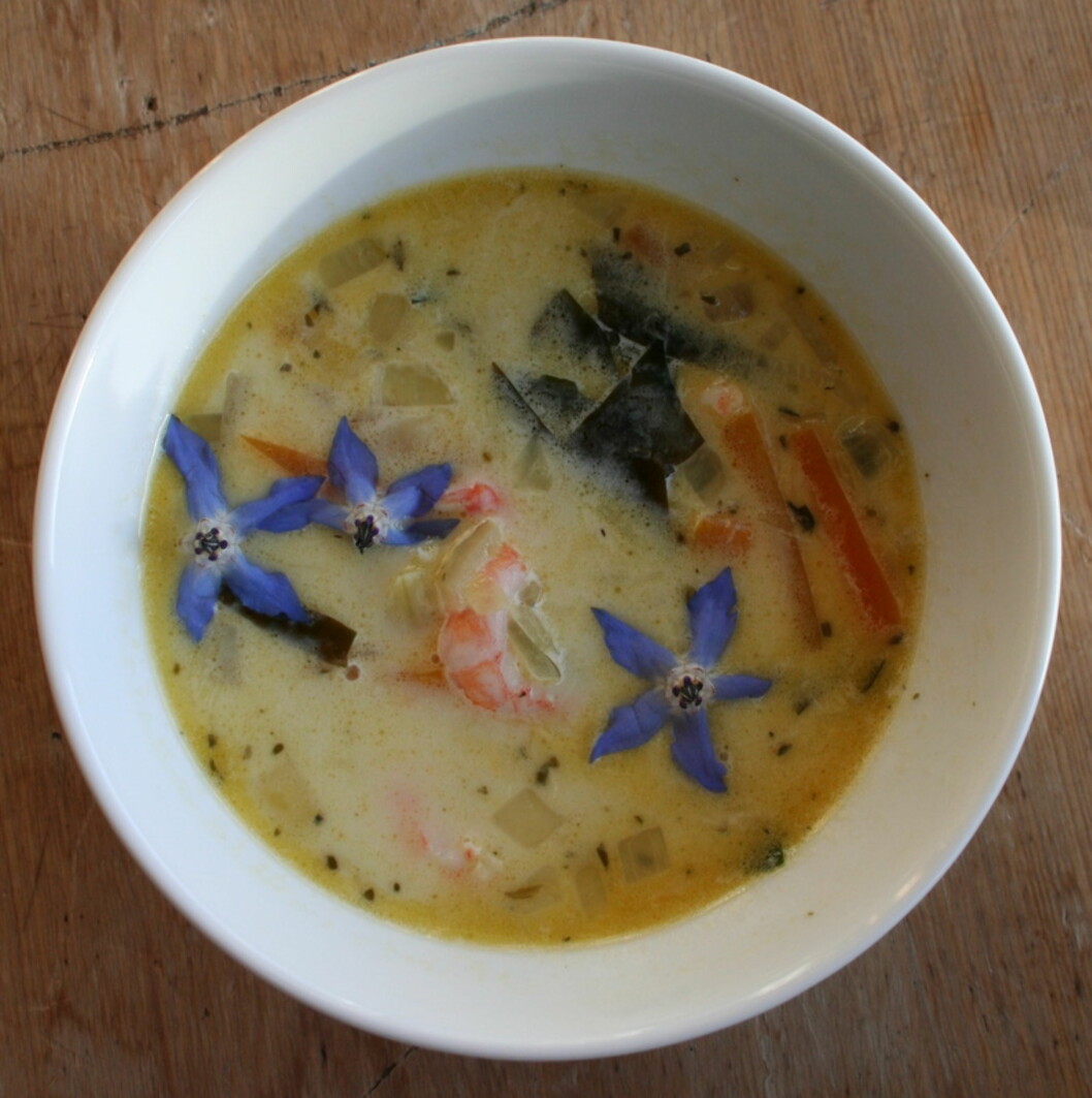 <strong>SUPPER:</strong> Det å spise tang og tare er for mange ukjent. Start derfor med supper, råder ernæringsfysiologen. Foto: tangogtare.com <strong>SUPPER:</strong> Det å spise tang og tare er for mange ukjent. Start derfor med supper, råder ernæringsfysiologen. Foto: tangogtare.com
