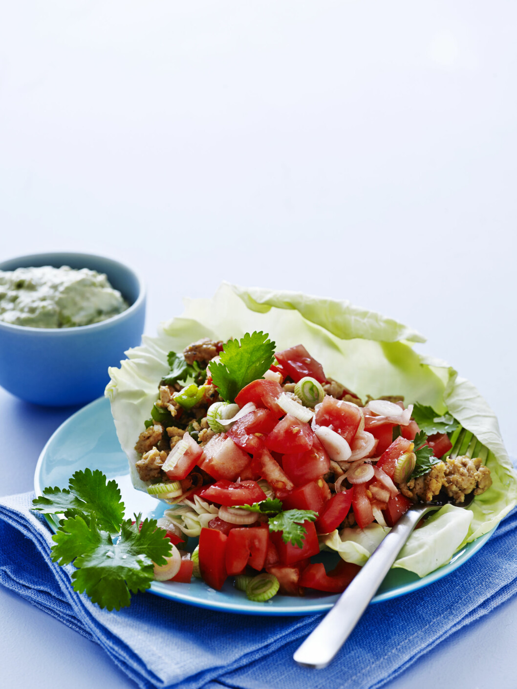 Taco med sommerkålblader, kylling og avokadodressing. Foto: All Over Press Taco med sommerkålblader, kylling og avokadodressing. Foto: All Over Press