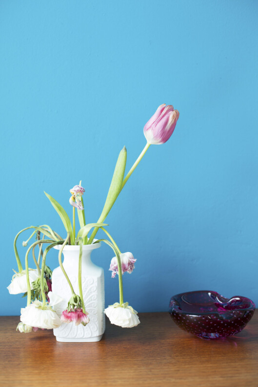 DØR DE FORT?: Det er mulig du gir blomstene/plantene for mye vann, eller har de stående feil sted. Foto: Plainpicture DØR DE FORT?: Det er mulig du gir blomstene/plantene for mye vann, eller har de stående feil sted. Foto: Plainpicture