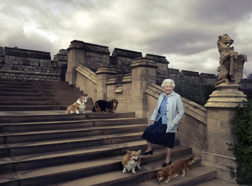 UT PÅ TUR: Dronning Elizabeth elsker å gå lange turer med hundene sine. Dette bildet er sluppet i forbindelse med 90-årsdagen 21. april. Foto: NTB Scanpix UT PÅ TUR: Dronning Elizabeth elsker å gå lange turer med hundene sine. Dette bildet er sluppet i forbindelse med 90-årsdagen 21. april. Foto: NTB Scanpix