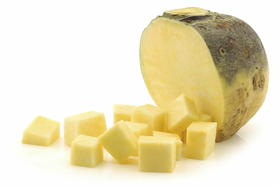 KÅLROT: «Nordens appelsin». Foto: Shutterstock KÅLROT: «Nordens appelsin». Foto: Shutterstock