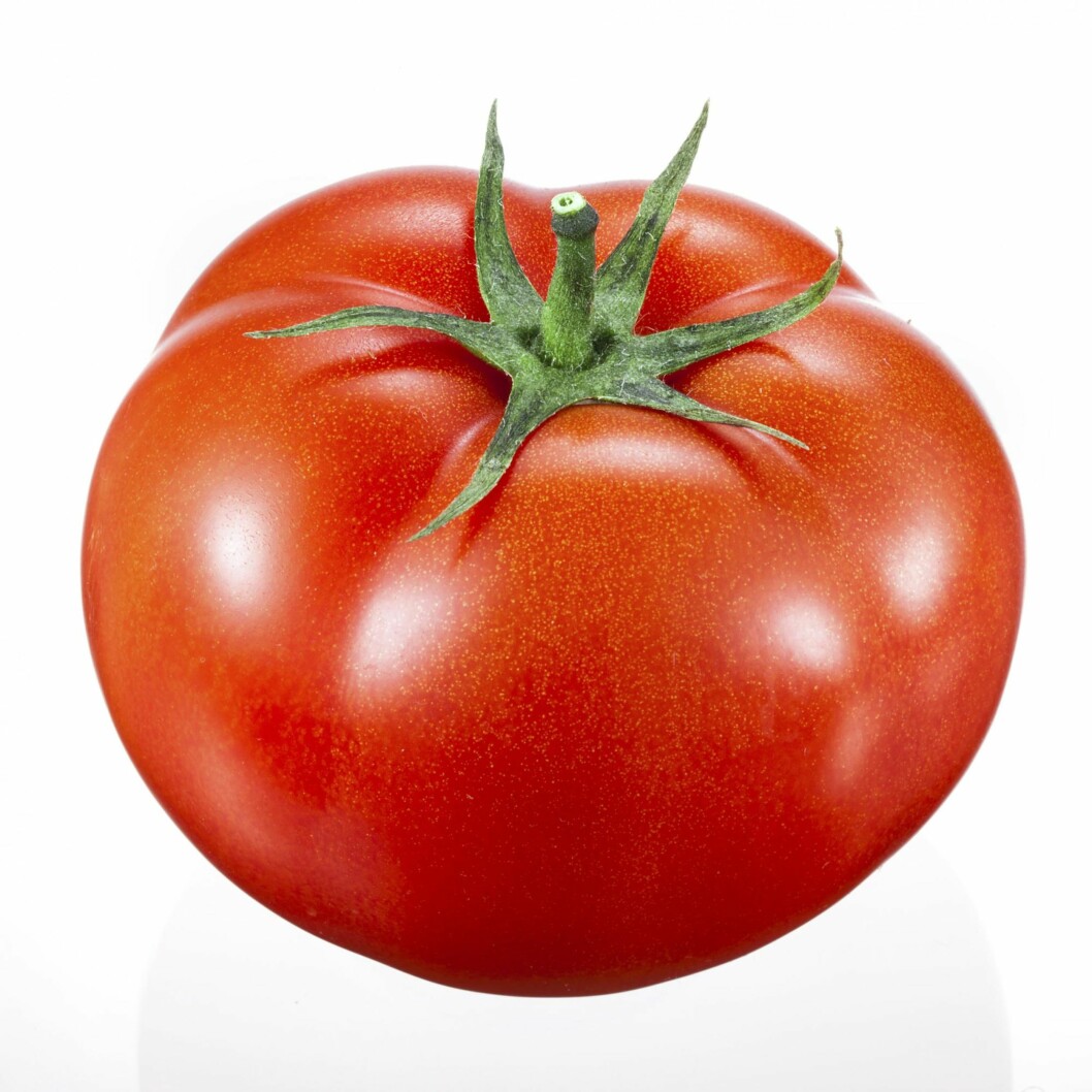 TOMAT: Kalorifattig og rik på A- og C-vitamin. Foto: Shutterstock TOMAT: Kalorifattig og rik på A- og C-vitamin. Foto: Shutterstock