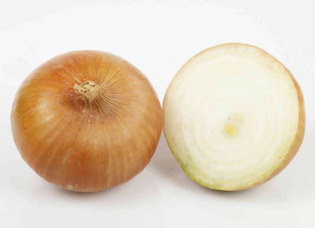LØK: Løk kommer i flere farger og varianter og setter nydelig smak på mange retter. Foto: Opplysningskontoret for frukt og grønt. LØK: Løk kommer i flere farger og varianter og setter nydelig smak på mange retter. Foto: Opplysningskontoret for frukt og grønt.