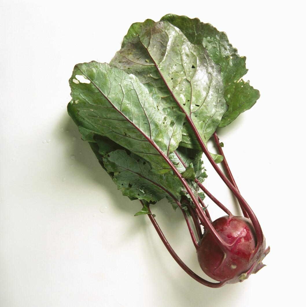 RØD ELLER GRØNN: Slik kan den også se ut. Knutekålen fins både som grønn og rød, og begge dyrkes i Norge. Foto: StockFood RØD ELLER GRØNN: Slik kan den også se ut. Knutekålen fins både som grønn og rød, og begge dyrkes i Norge. Foto: StockFood