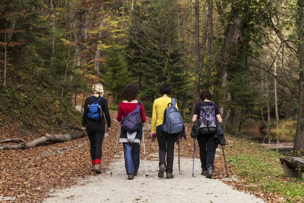 FÅ HJELP AV VENNER OG FAMILIE: Spør familien og venner om de kan hjelpe deg gjennom prosessen. Hva med gå turer sammen i skogen? Foto: Deymos.HR - Fotolia FÅ HJELP AV VENNER OG FAMILIE: Spør familien og venner om de kan hjelpe deg gjennom prosessen. Hva med gå turer sammen i skogen? Foto: Deymos.HR - Fotolia