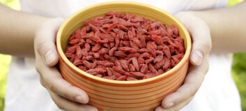 Acai, chia og goji – supermat, eller myte? Acai, chia og goji – supermat, eller myte?