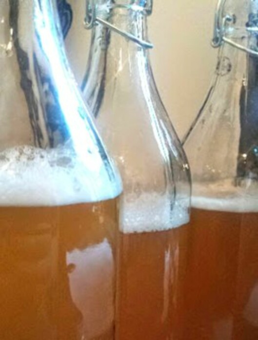 KAMBUCHA: Voila! Ferdig laget kambucha-te! Nå er det bare å prøve selv! Foto: alldenrarematen.wordpress.com KAMBUCHA: Voila! Ferdig laget kambucha-te! Nå er det bare å prøve selv! Foto: alldenrarematen.wordpress.com