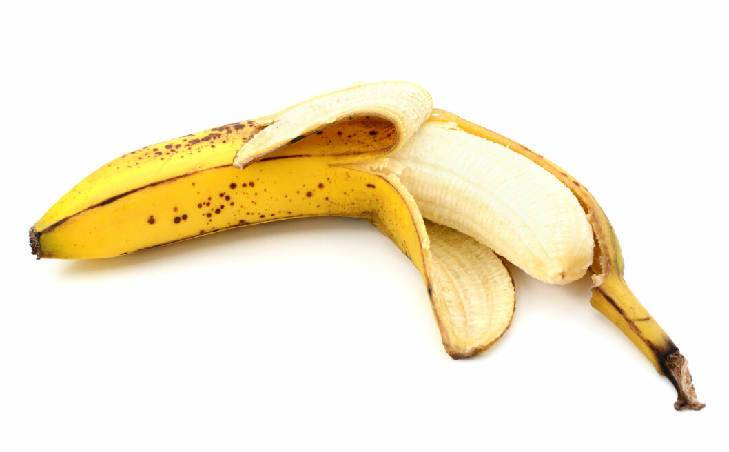 SKALL: Så lenge det bare er skallet som er brunt, er bananen helt fin å spise. Har innmaten også fått brune flekker, kan du bare skjære bort disse og bruke resten av bananen. Foto: sarahdoow - Fotolia SKALL: Så lenge det bare er skallet som er brunt, er bananen helt fin å spise. Har innmaten også fått brune flekker, kan du bare skjære bort disse og bruke resten av bananen. Foto: sarahdoow - Fotolia