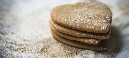 Julekaker for deg med allergier Julekaker for deg med allergier