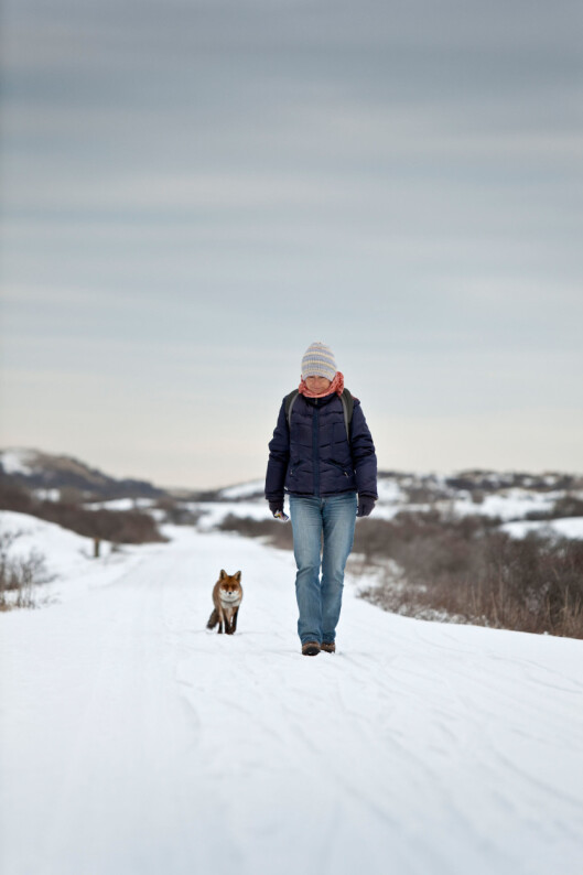 KOM DEG UT: Sørg for å få minst en halvtime med dagslys i mørketiden. Det vil gjøre det langt lettere å sovne på kvelden. Foto: frans lemmens / Alamy/All Over Press KOM DEG UT: Sørg for å få minst en halvtime med dagslys i mørketiden. Det vil gjøre det langt lettere å sovne på kvelden. Foto: frans lemmens / Alamy/All Over Press
