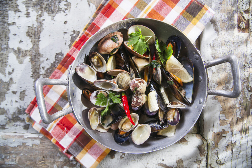 BLÅSKJELL: Dampede blåskjell med hvitvin, ja takk! Foto: Fotolia BLÅSKJELL: Dampede blåskjell med hvitvin, ja takk! Foto: Fotolia