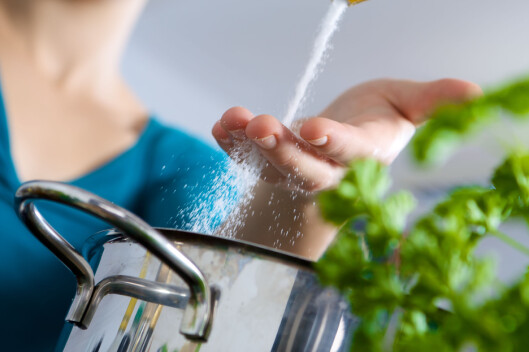 LAG MATEN SELV: Da får du større kontroll på saltinnholdet i maten. Ferdiglaget mat inneholder ofte mye salt. Foto: Fotolia LAG MATEN SELV: Da får du større kontroll på saltinnholdet i maten. Ferdiglaget mat inneholder ofte mye salt. Foto: Fotolia