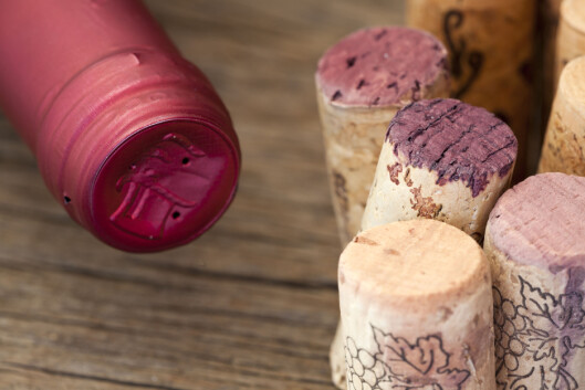 <strong>VINEN SMAKER KORK:</strong> Korkfeil skyldes som regel bakterier i eller på korken. Men det er ikke noe poeng i å lukte på korken, for det er vinen som skal drikkes. Foto: thomasklee - Fotolia <strong>VINEN SMAKER KORK:</strong> Korkfeil skyldes som regel bakterier i eller på korken. Men det er ikke noe poeng i å lukte på korken, for det er vinen som skal drikkes. Foto: thomasklee - Fotolia