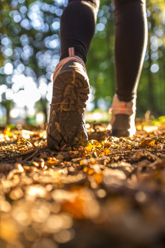 Detail of female hiking in nature. Healthy active life concept. Foto: Fotolia Detail of female hiking in nature. Healthy active life concept. Foto: Fotolia