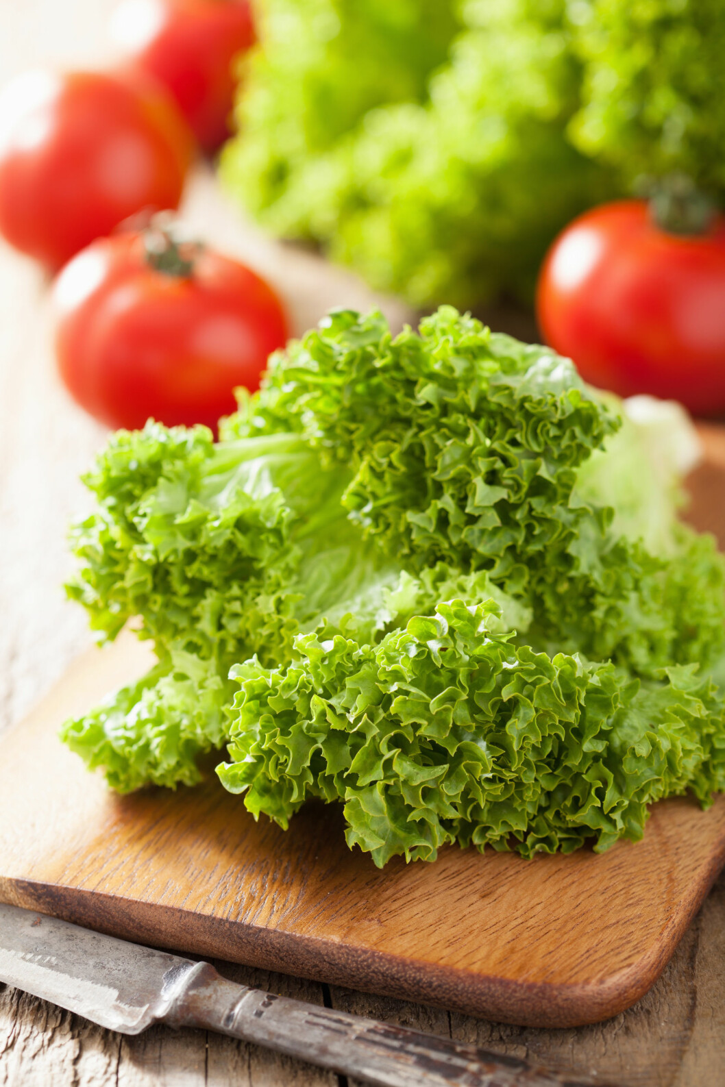 DROPP KNIVEN: Noen typer salat bør du mye heller rive opp. Foto: dusk - Fotolia DROPP KNIVEN: Noen typer salat bør du mye heller rive opp. Foto: dusk - Fotolia