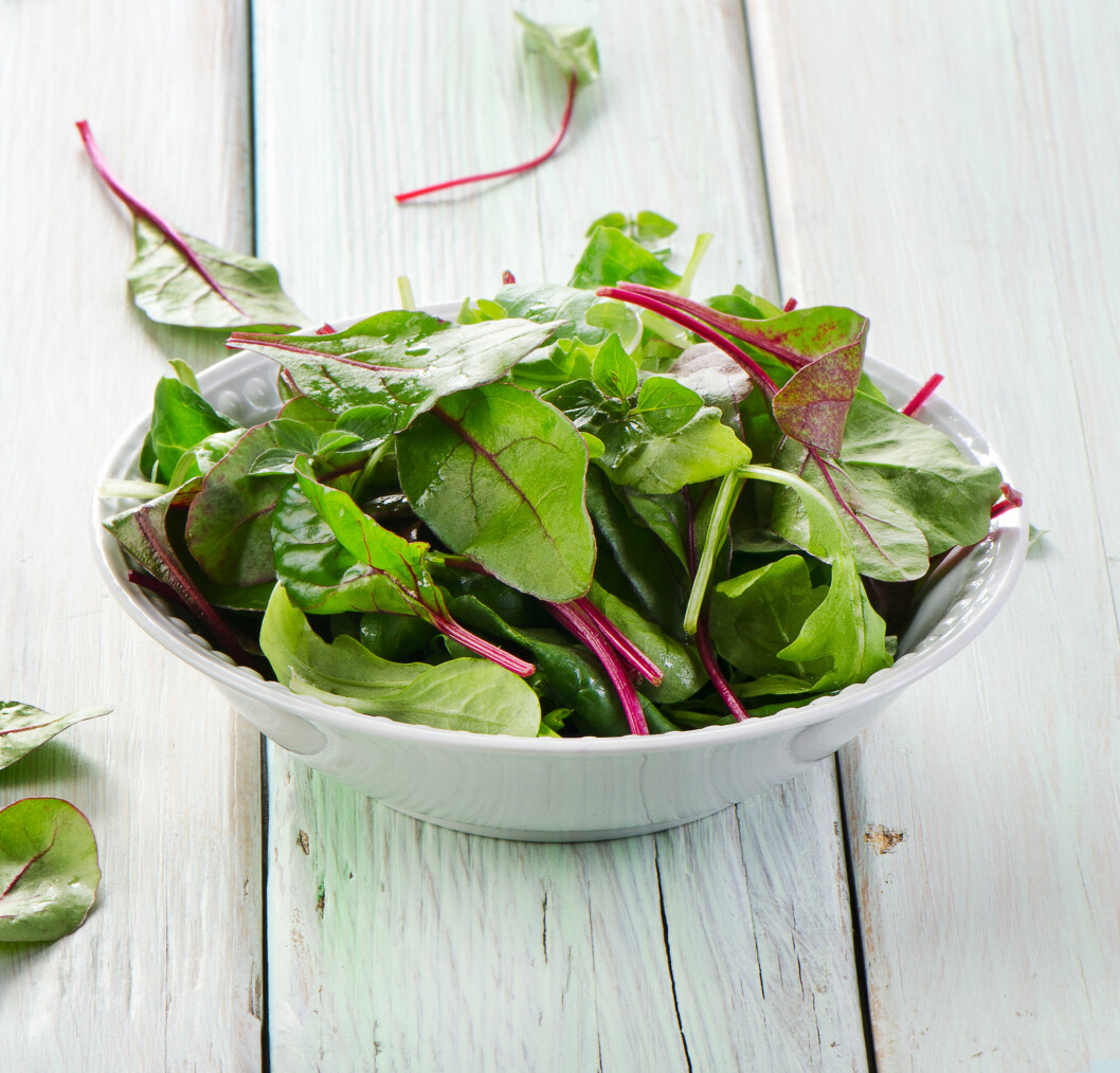 VELG FARGERIKT: Selv om det ikke er så stor forskjell på næringsinnholdet i salat, vil du få mest ut av de som har sterke farger. Foto: bit24 - Fotolia VELG FARGERIKT: Selv om det ikke er så stor forskjell på næringsinnholdet i salat, vil du få mest ut av de som har sterke farger. Foto: bit24 - Fotolia