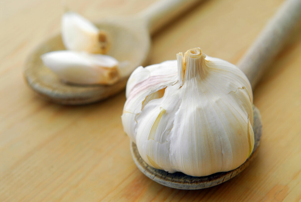 Bulbs and cloves of garlic on wooden cooking spoons. Foto: All Over Press Bulbs and cloves of garlic on wooden cooking spoons. Foto: All Over Press