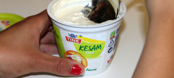 Hvor sunt er egentlig kesam? Hvor sunt er egentlig kesam?