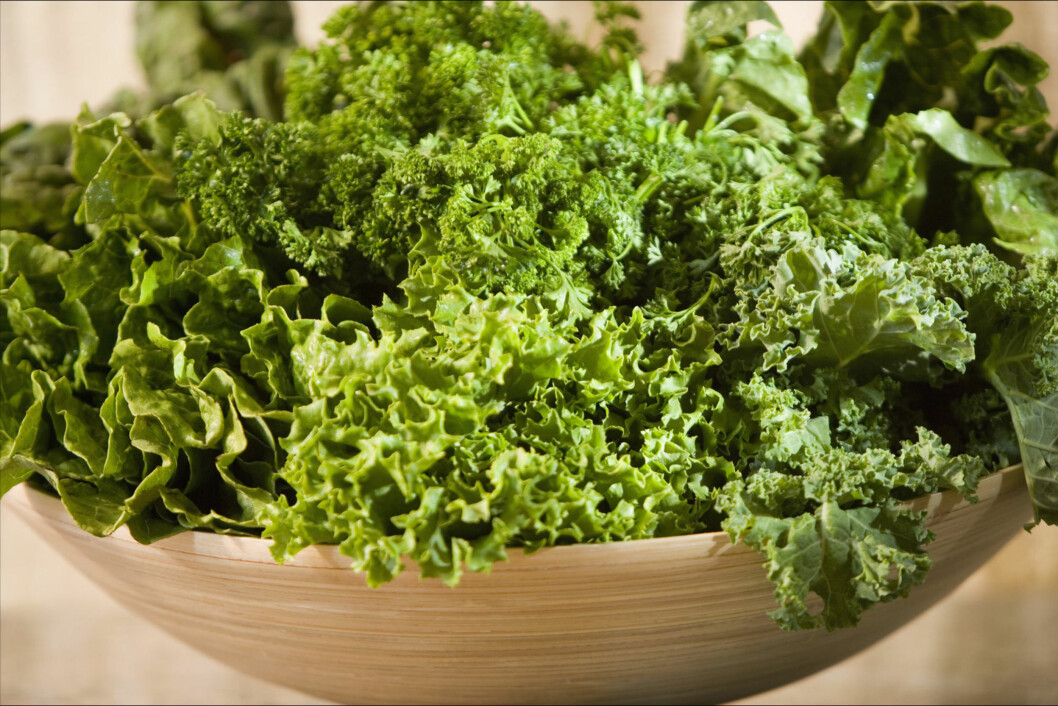 PROPPFULL: Grønnkål er proppfullt av viktige vitaminer og mineraler, og kan blant annet forebygge kreft. Foto: Thinkstock.com PROPPFULL: Grønnkål er proppfullt av viktige vitaminer og mineraler, og kan blant annet forebygge kreft. Foto: Thinkstock.com