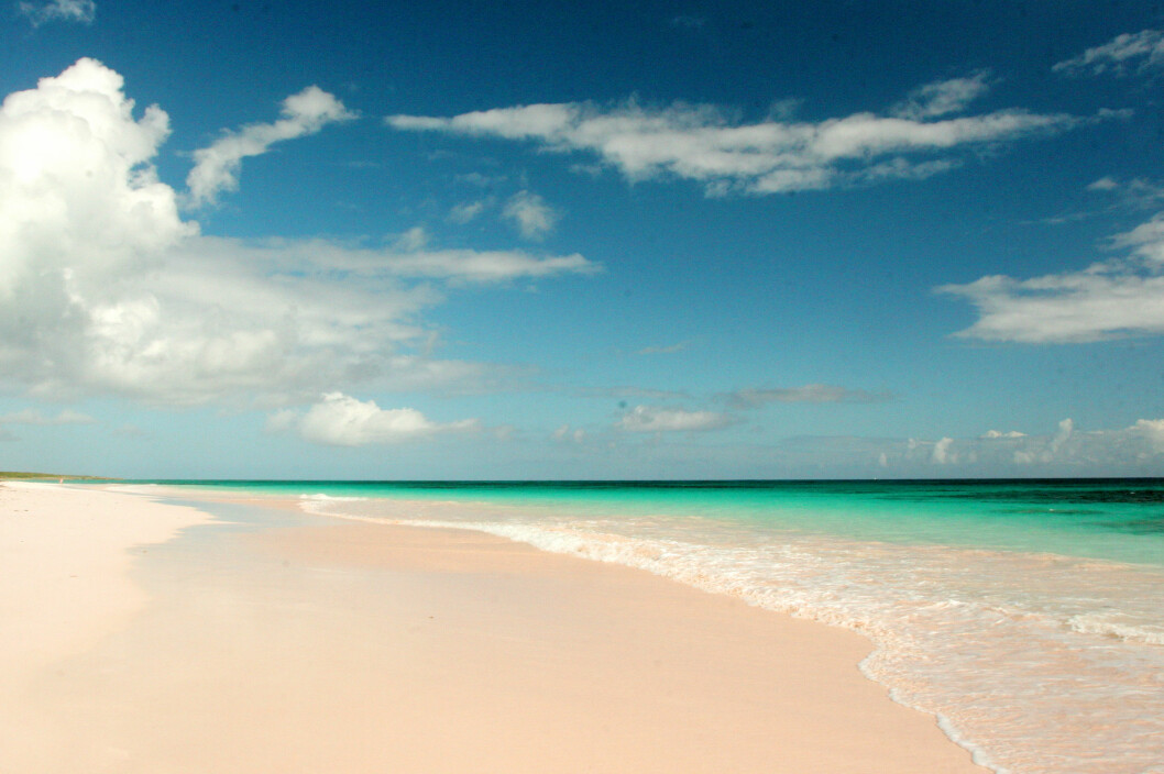 Den rosa stranden på Harbour Island er Bahamas vakreste, sies det. Den rosa stranden på Harbour Island er Bahamas vakreste, sies det.