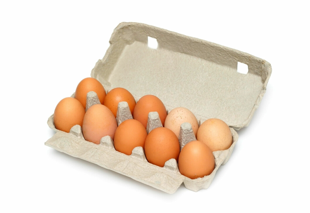 EGG. Kan byttes ut. EGG. Kan byttes ut.