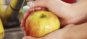 Husk dette når du skal spise frukt Husk dette når du skal spise frukt