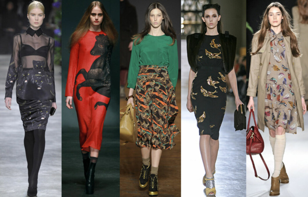 IKKE BARE KATTER PÅ CATWALKEN: Denne høsten blir det ikke bare (f.v) svarte pantere fra Givenchy, men også hester fra Charles Anastase, hjorter som hos Marc by Marc Jacobs, svaler hos Miu Miu og fargerike fugler hos Mulberry. Foto: All Over Press IKKE BARE KATTER PÅ CATWALKEN: Denne høsten blir det ikke bare (f.v) svarte pantere fra Givenchy, men også hester fra Charles Anastase, hjorter som hos Marc by Marc Jacobs, svaler hos Miu Miu og fargerike fugler hos Mulberry. Foto: All Over Press
