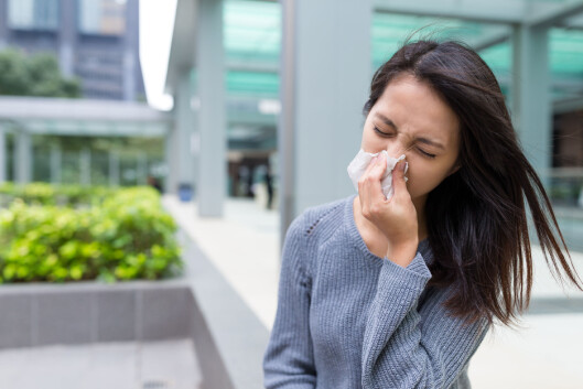 POLLEN VERSUS FORKJØLELSE: Symptomer som ligner på pollen, slik som rennende og/eller tett nese, slapphet og trøtthet kan også ligne på forkjølelse. Derfor kan det være lett å mistolke slike symptomer i begge retninger. Foto: NTB scanpix POLLEN VERSUS FORKJØLELSE: Symptomer som ligner på pollen, slik som rennende og/eller tett nese, slapphet og trøtthet kan også ligne på forkjølelse. Derfor kan det være lett å mistolke slike symptomer i begge retninger. Foto: NTB scanpix