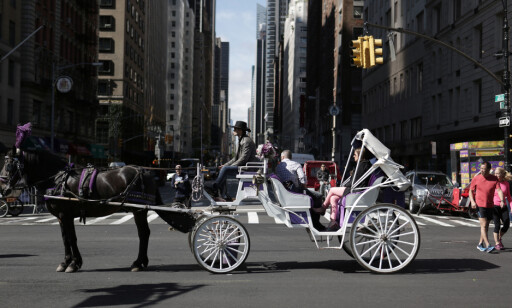 - HOLD DEG UNNA: Dropp hestedrosjen i New York, advarer dyrevernsorganisasjonen NOAH. Foto: Joe Penney / Reuters / NTB Scanpix - HOLD DEG UNNA: Dropp hestedrosjen i New York, advarer dyrevernsorganisasjonen NOAH. Foto: Joe Penney / Reuters / NTB Scanpix
