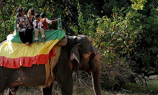 TURISTER: Noen turister rir på en elefant i Sri Lanka. Nå advarer dyrevernorganisasjoner mot dette. Foto: Ishara S. Kodikara / AFP / NTB Scanpix TURISTER: Noen turister rir på en elefant i Sri Lanka. Nå advarer dyrevernorganisasjoner mot dette. Foto: Ishara S. Kodikara / AFP / NTB Scanpix