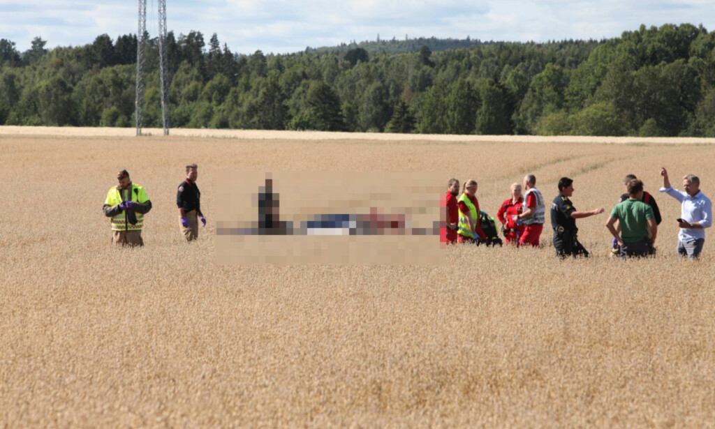 ULYKKE: Flyet styrtet ved Ekeberg skole i Holmestrand kommune i Vestfold. Foto: Stener Kalberg