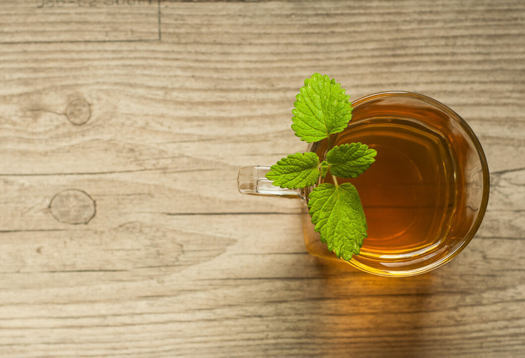 KRAMPER?: Dersom du er plaget med kramper i forbindelse med mensen kan det hjelpe å drikke mynte-te. Mynte skal nemlig kunne ha en positiv effekt på kramper. Foto: ygor28 - Fotolia KRAMPER?: Dersom du er plaget med kramper i forbindelse med mensen kan det hjelpe å drikke mynte-te. Mynte skal nemlig kunne ha en positiv effekt på kramper. Foto: ygor28 - Fotolia