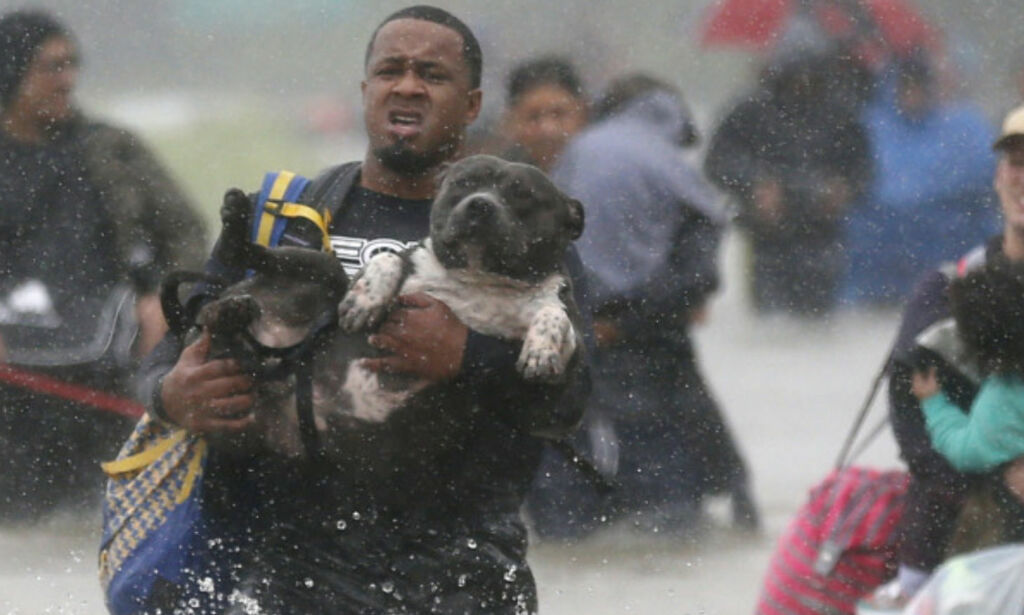 image: Innbyggere sør for Houston evakueres etter at et dike har brutt sammen